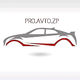 pro_avto_zp logo